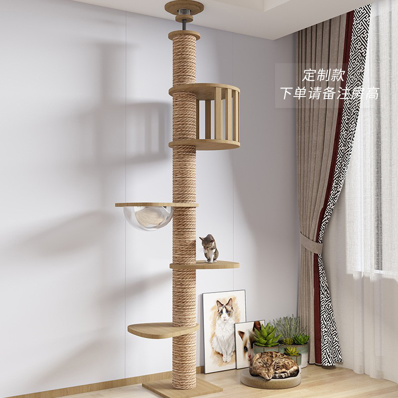 **둥지 + 우주 캡슐 + 페달 2개**