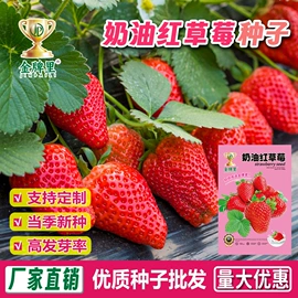 蔬菜种子