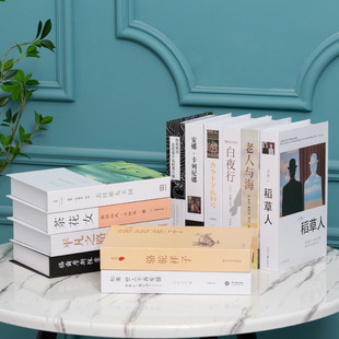 Chinese Simple Decorative Book Home Soft Decoration Photo Props Book Office Bookshelf Simulation Book Fake Book Ornaments Wholesale