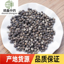 蔓荆子颗粒饱满无杂质 中药材现货供应【顺鑫中药】批发 量大从优