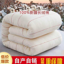 学生宿舍棉被棉花被子被芯棉絮床垫手工被褥子纯棉花冬被