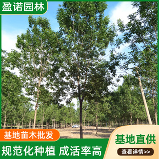 ���ذ�Ϟ����F�ڎ����l�е����̾G����Ϟ��ͥԺͥ�a�^����Ϟ����