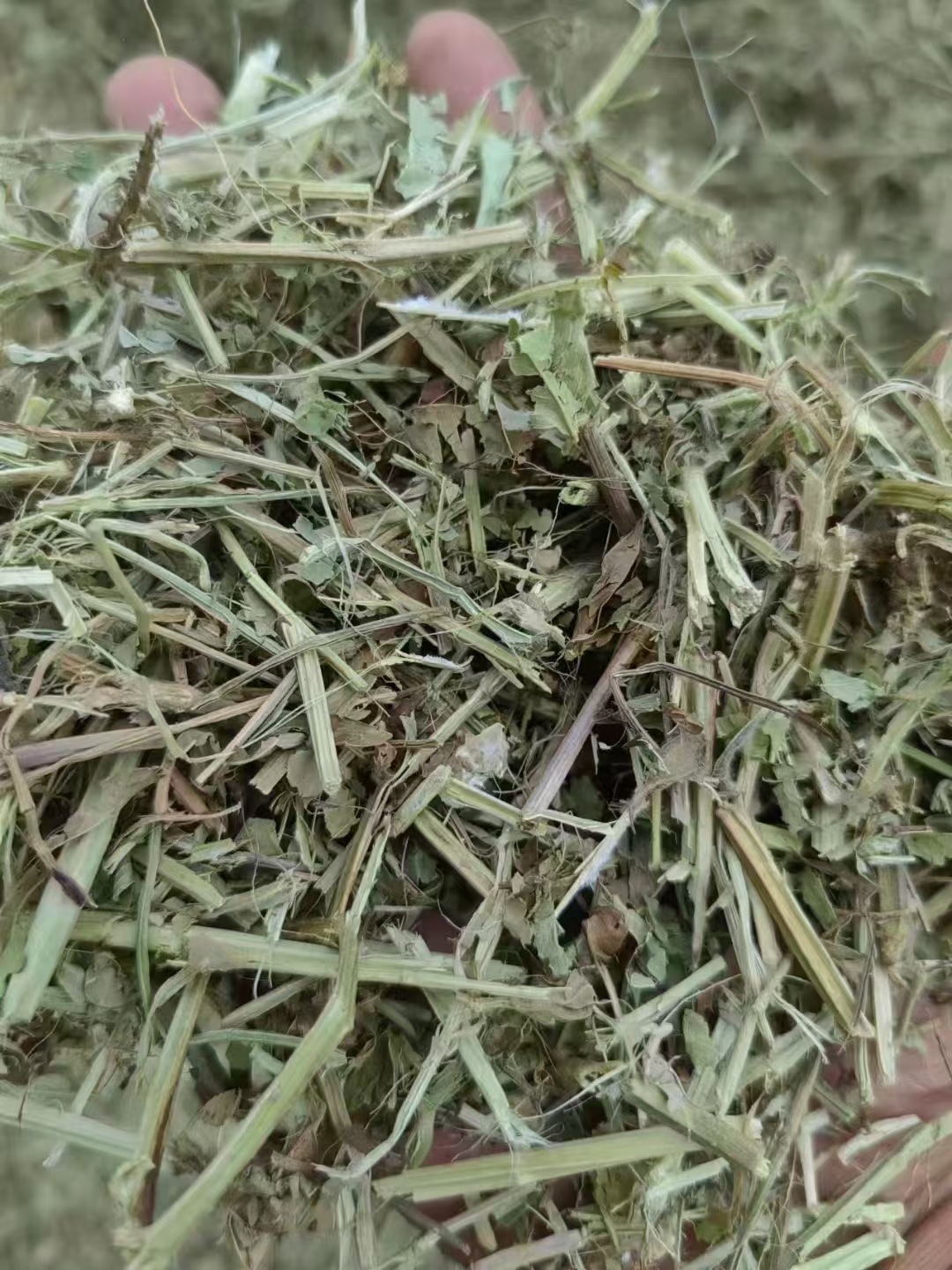 微信图片_20250714083640