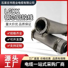 LGKK扩径空心导线LGKK600/900/1400双分裂变电站软母线国标超高压