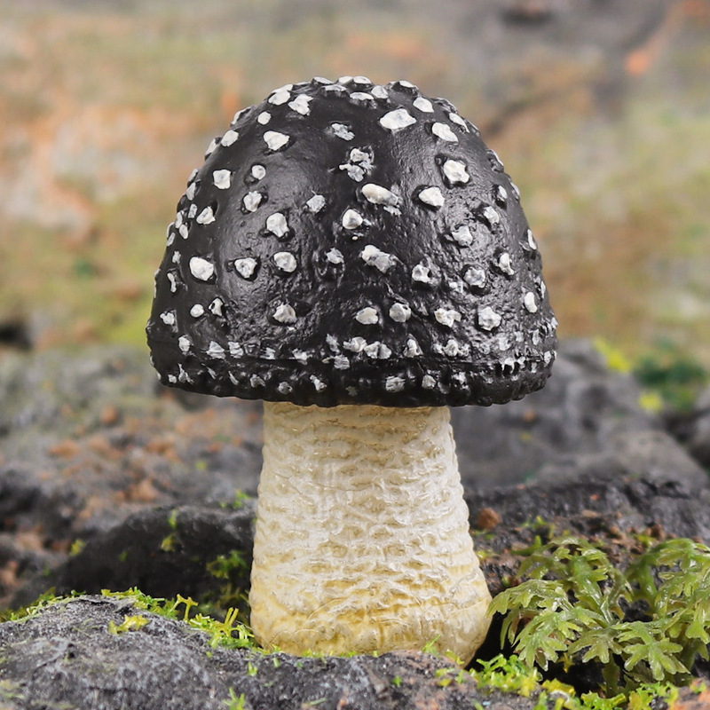 Simulated Educational Science Model of Poisonous Wild Mushrooms, Food Model of Wild Mushrooms, Outdoor Garden Scene Decoration, Fake Props for Photography Simulated Educational Science Model of Poisonous Wild Mushrooms, Food Model of Wild Mushrooms, Outdoor Garden Scene Decoration, Fake Props for Photography