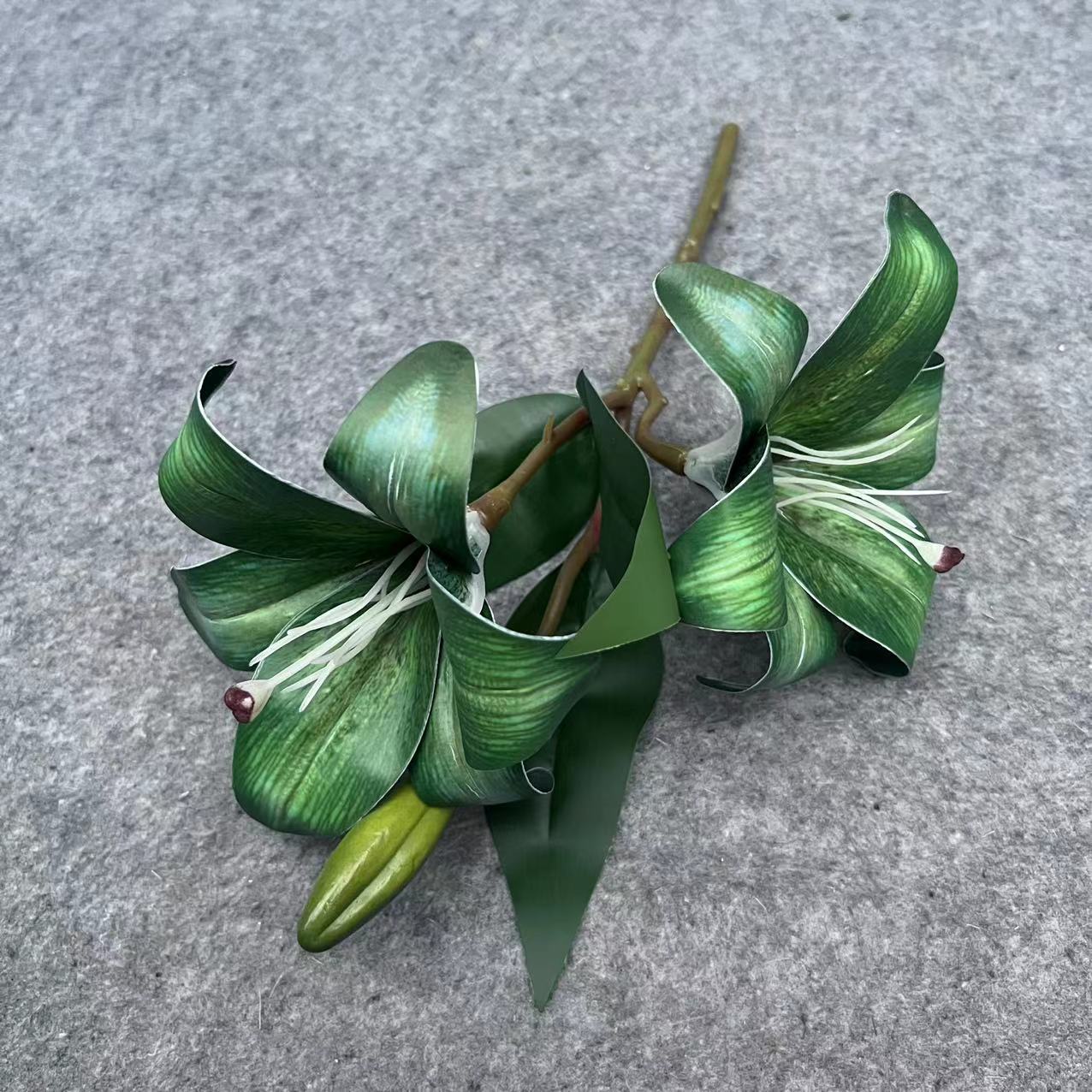 3D 릴리 그린