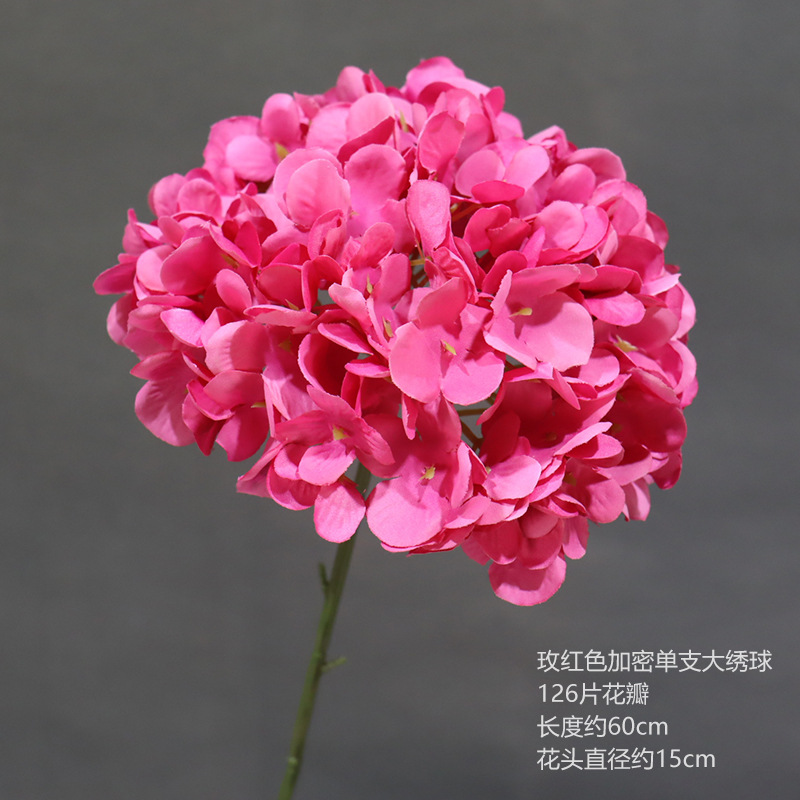 Cifrado de rosa roja sola Hortensia grande