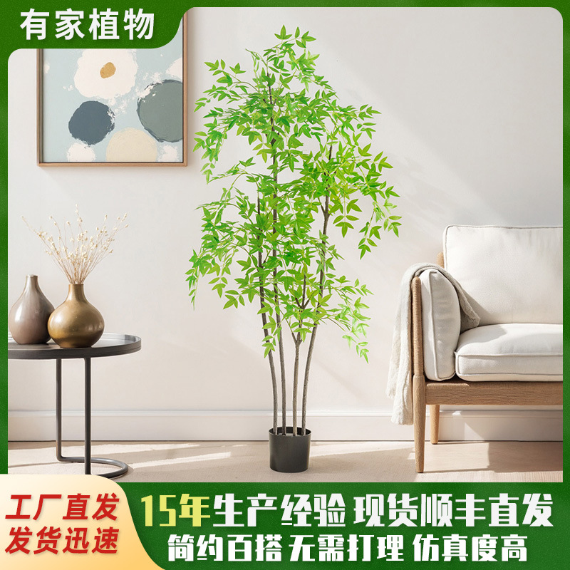 Nuevo artificial nantianzhu decoración del hogar falso verde planta sala de estar maceta decoración verde planta nantianzhu piso bonsai