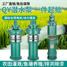 �ͽ�ʽ�༶Ǳˮ�� ��Ȫ����԰����Ȫˮ�� ũ�ù���ͽ�ʽǱˮ��