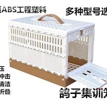 /Ʒ/ۯB\/ӼӖ\/ӖŻ\/w\/ِ\