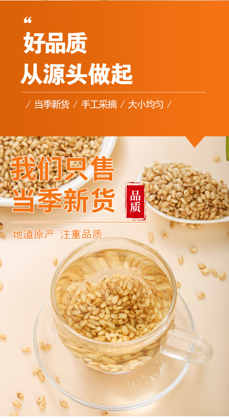 Brown Rice (Oryza sativa) — Northeast New-Crop Whole Grain for Rice Tea & Congee in use
