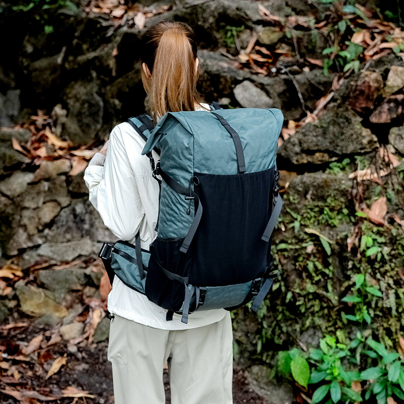 알래스카 그레이