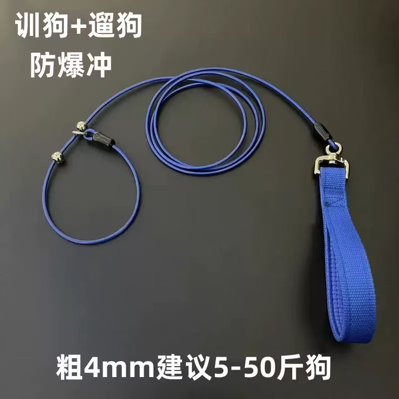 나일론 스트랩 핸들 P 로프 블루 더블 버클