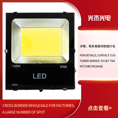 跨境直供LED投光灯亚马逊速卖通电商庭院灯广场公园照明灯路灯|ru