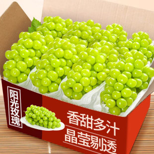 ꖹ�õ�����������������w�����֭���r������������ˮ��