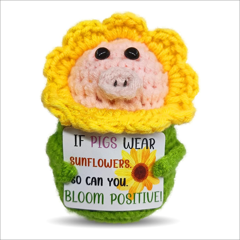 新品跨境亚马逊热销 Crochet Positive ice cream 毛线玩偶励志卡|undefined