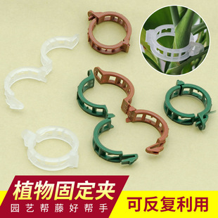 Plastic clip garden climbing vine hanging seedling clip binding vine clip tomato large plant fixing clip gardening supplies wholesale