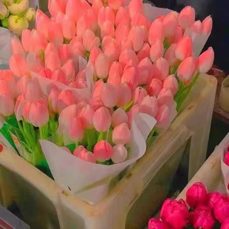 80c55151-91cf-462c-84ab-5f162f25d4a4.jpe