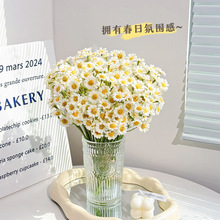 花干花真植摆件装饰洋甘菊仿真花摆设雏菊仿真花束一件代发花瓶