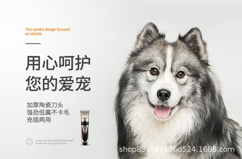 a70172fd3acf22131c6317d4f95b54