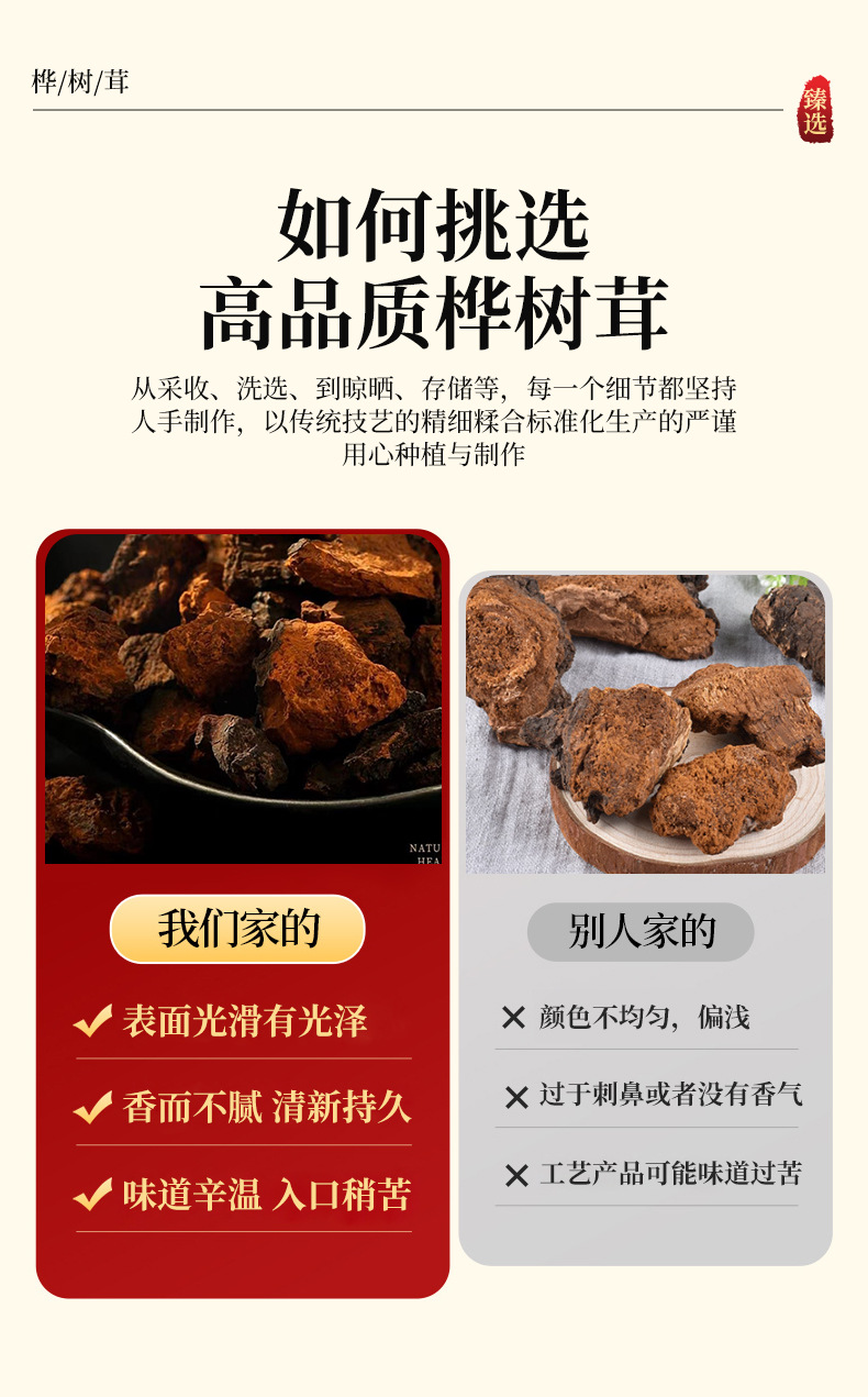 Chaga Mushroom Granules Hua Shu Rong 250g Dried Birch Conk Chunks for Herbal Tea and Decoction quality and texture