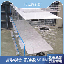 育雏笼子小鸡笼子专用蛋鸡笼加密加粗防跑四层立体养鸡设备养殖笼