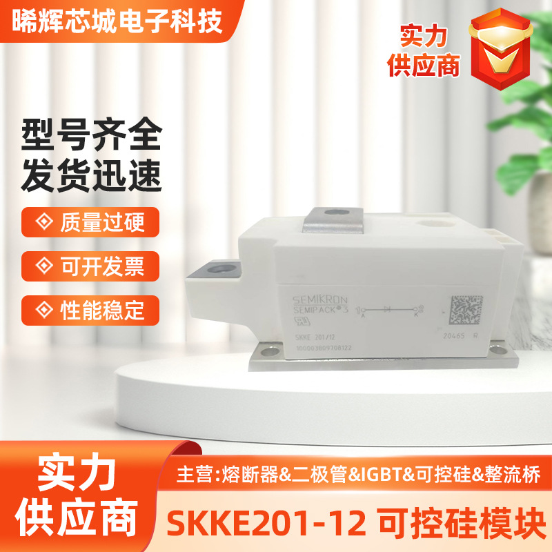 SKKE201/12/14/16/18 大体积全新可控硅模块