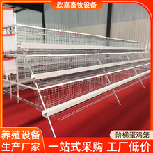 �Bֳ�����O�������Č����T�A�ݵ��u�\����Gʳ�۰�ʳ�ۏS��