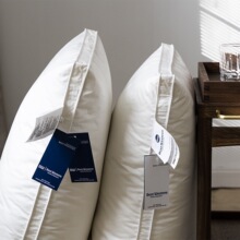 ���ښW�����Ǽ�������qܛ��о���Q100֧�ް��Z�qëƬ���^��ֻ