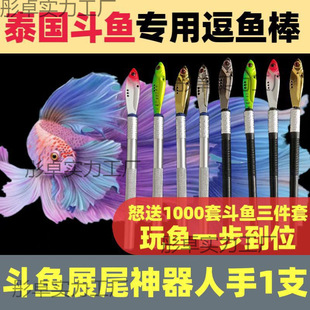 ̩���~���~�����~��Ӗ�����~���Ӷ��~�P�����¶��~�lɫ