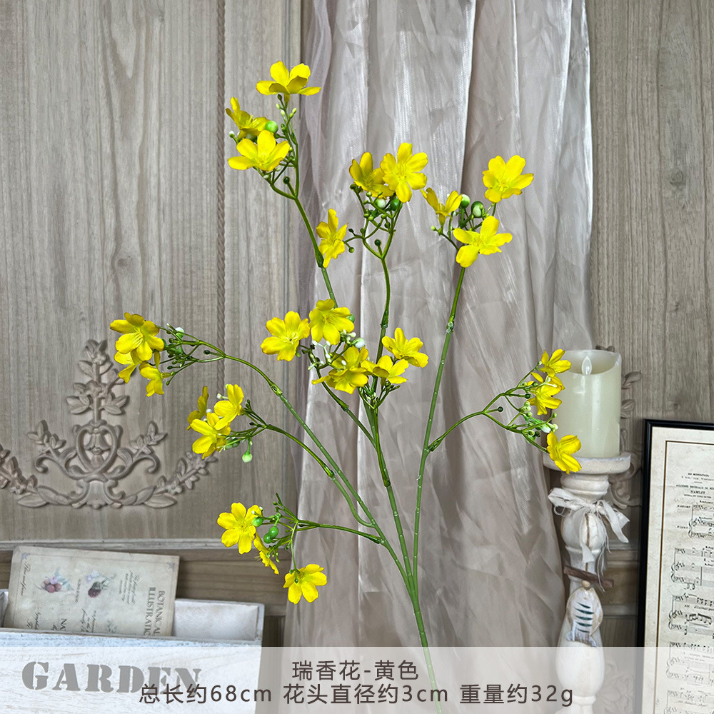 DD-瑞香花-黄色