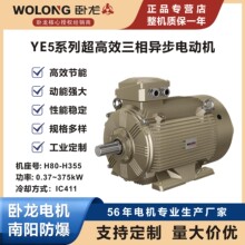����YE5-132M-4 7.5KW 380V��ʽ���b һ����Ч������헮���늙C