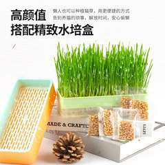 Pet Supplies Hydroponic Cat Grass Hair Grass Wheat Seeds Lazy Cat Grass Wheat Wholesale Hair Removal Balls Promote Digestion