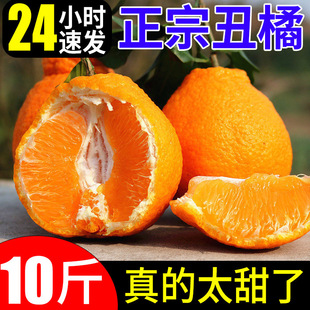 �Ĵ��ҰҸ̳�˹ֳ������r����9�����ٽ��Ӯ����r���ˮ������