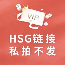 HSGר������