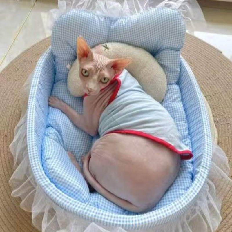 オールシーズン対応の猫小屋、小型ペット犬用のノンスティックヘア、洗えるテディビション、軽くて柔らかくワックス状のストレートヘア|undefined