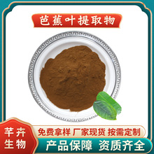 芭蕉叶提取物 水溶芭蕉叶粉 浓缩粉 植物提取物 厂家1KG起包邮