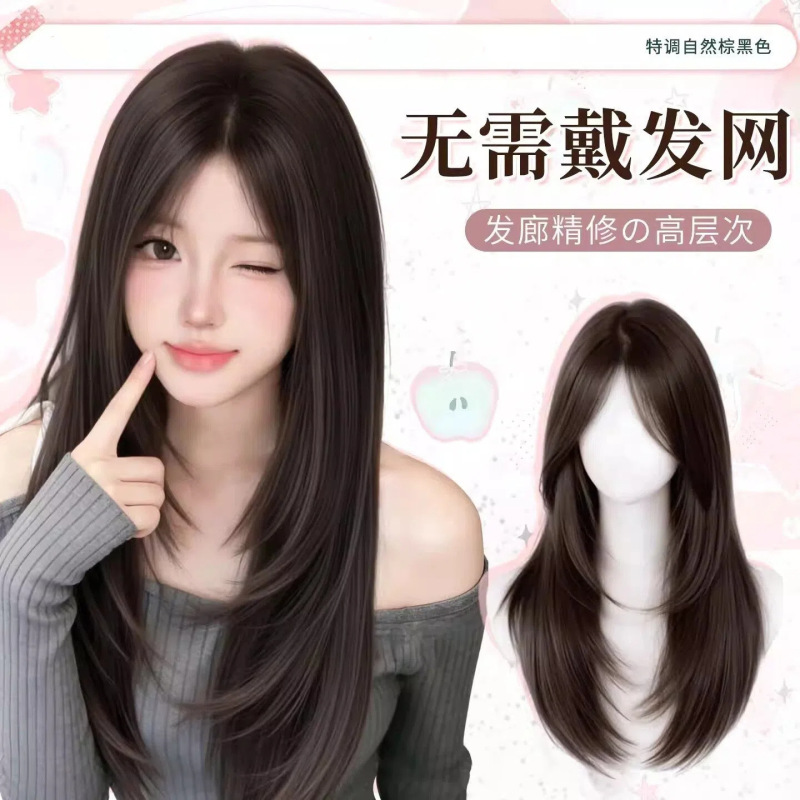 No-Net Wig for Women, High-Quality Realistic Long Straight Hair, Hand-Woven Frontal Lace Wig, Invisible Seamless Hair Extensions