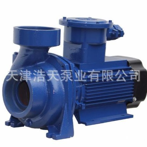 单相防爆离心泵TDFB 汽油防爆离心泵 柴油防爆离心泵 化工防爆泵