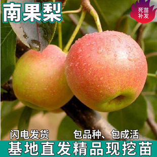 һ�����l�Ϲ�������ϱ���ͥԺ�����ش�����ԷNֲ�޽Ӵ��������