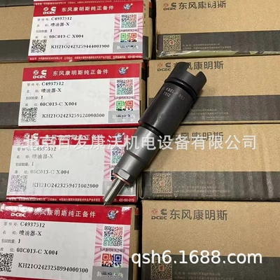 4931786 Belt Pulley Water – Generator şkivləri