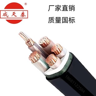 ̩늾|ZC-YJV22-4*95+1*50mm2zb|ȼ~о|