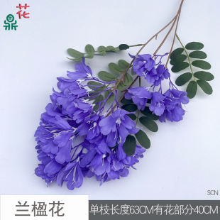 �m麻� �����϶��� ͥԺ�����Ĕz���߲廨���� ������ꐲ����ٻ�