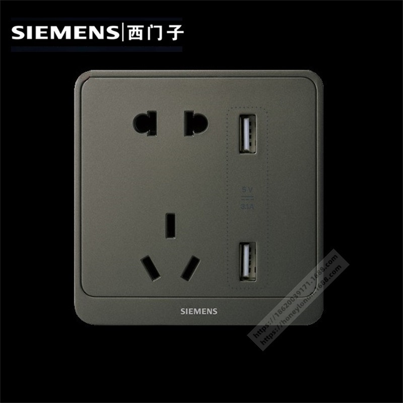 SIEMENS 远景Pro 深灰银 二三级插+双USB插座(3.1A）5UB20723NC04