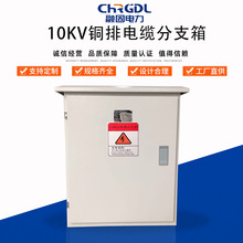 廠家現貨供應成套設備戶外高壓白色10KV銅排高壓分接箱電纜分支箱
