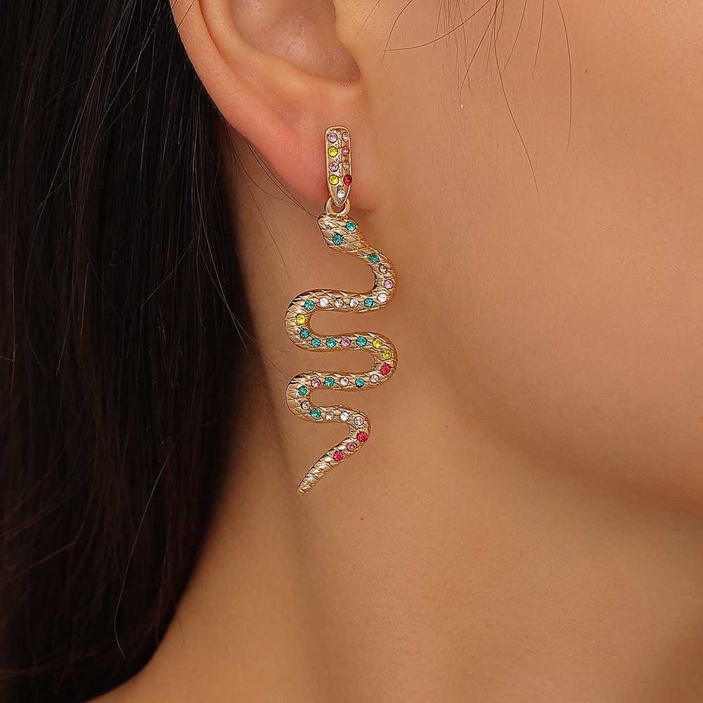 1 Pair Fashion Snake Alloy Plating Women's Drop Earrings display picture 24