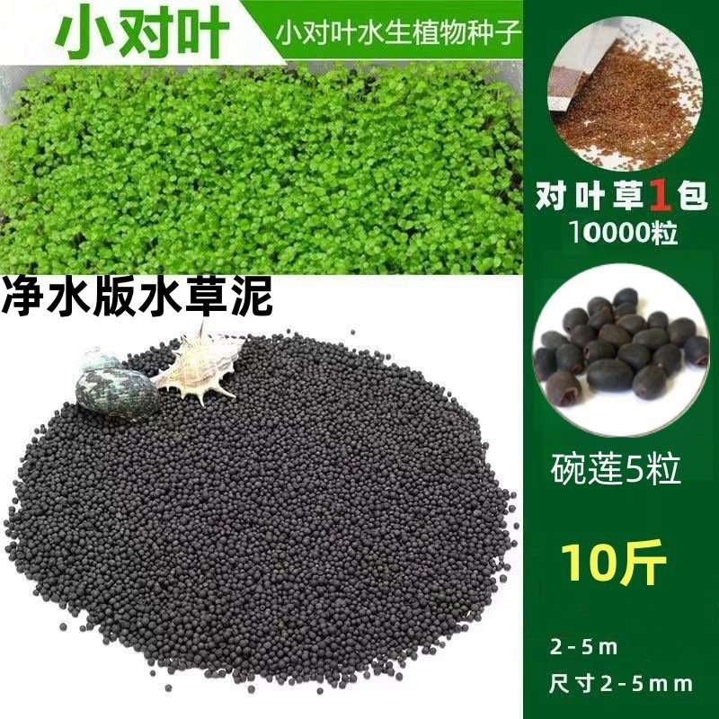 [핫세일] 워터그라스머드 5kg - 작은 쌍잎 10,000개 + 그릇연꽃 5개 무료