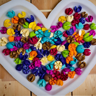 �ɻ��_�Ĺ���Ȼ�滨�ֹ�DIY���ɢ�b�Q��ƽ�����ɻ��F؛���l�L��