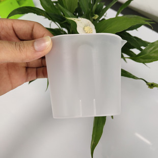 150ml Precision Measuring Cup Pp Frosted Plastic Cup Aromatherapy Machine Scale Measuring Cup