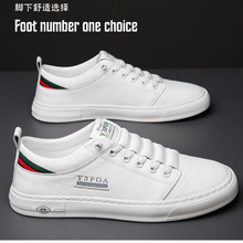 ţƤ2025�����¿�С��Ь��ʿ���eЬ�����ٴ�͸��ܛ���\�Ӱ�Ь